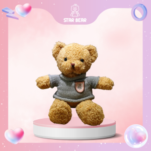 Gấu Bông Teddy