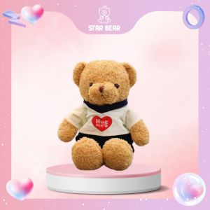 Gấu Bông Teddy hug me